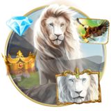 White King